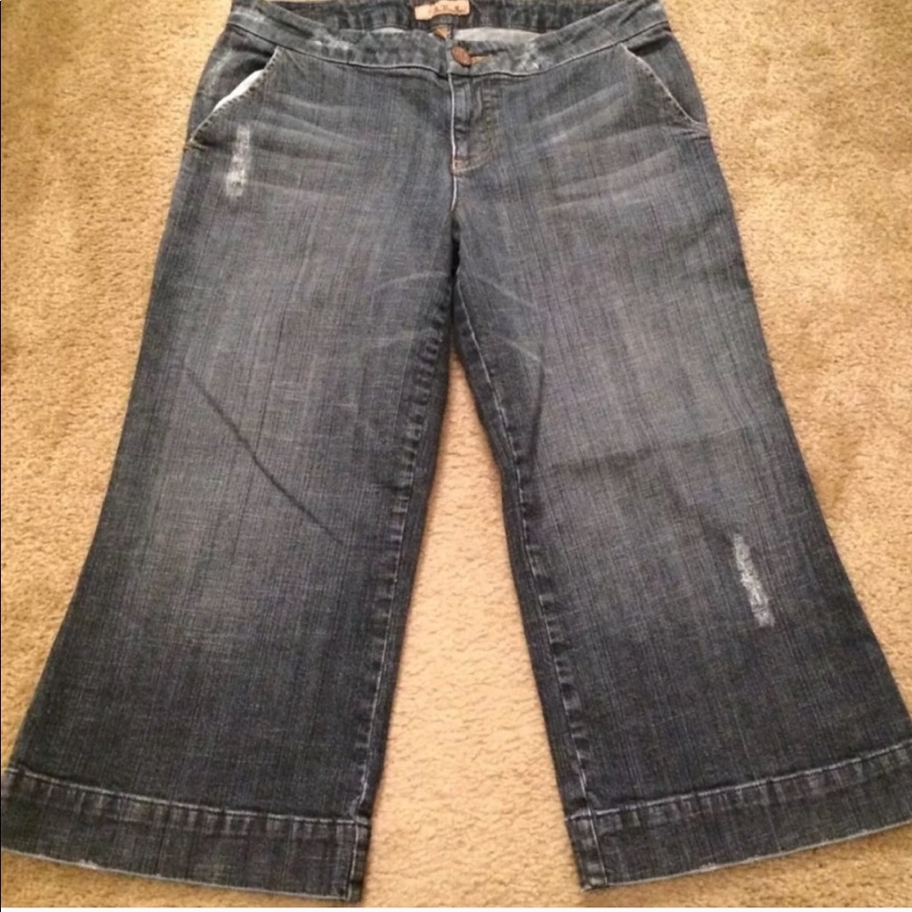 SEE THRU SOUL STS Cropped Capri Denim Jeans Gaucho